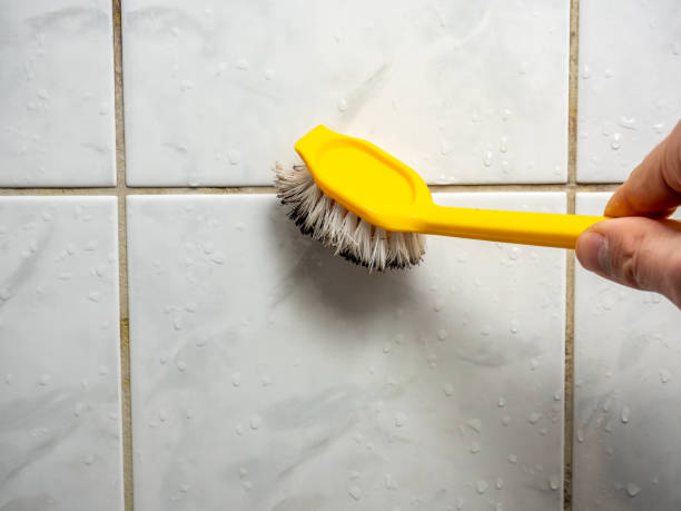 Best Black Mold Removal  in Mckeesport, PA