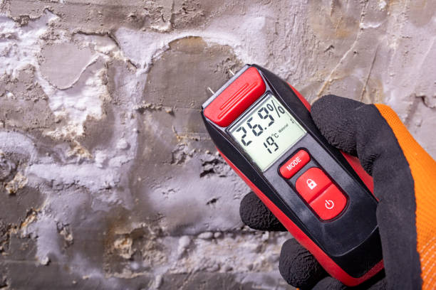 Mckeesport, PA Mold Removal Company