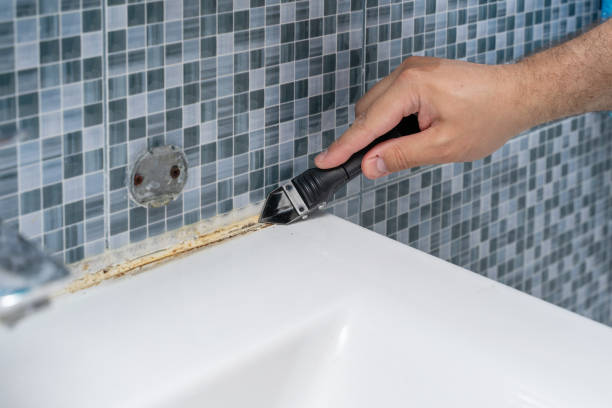 Best Mold Removal Near Me  in Mckeesport, PA