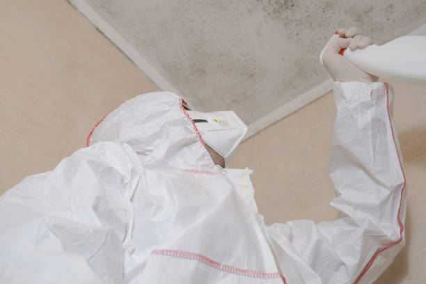 Best Attic Mold Removal  in Mckeesport, PA